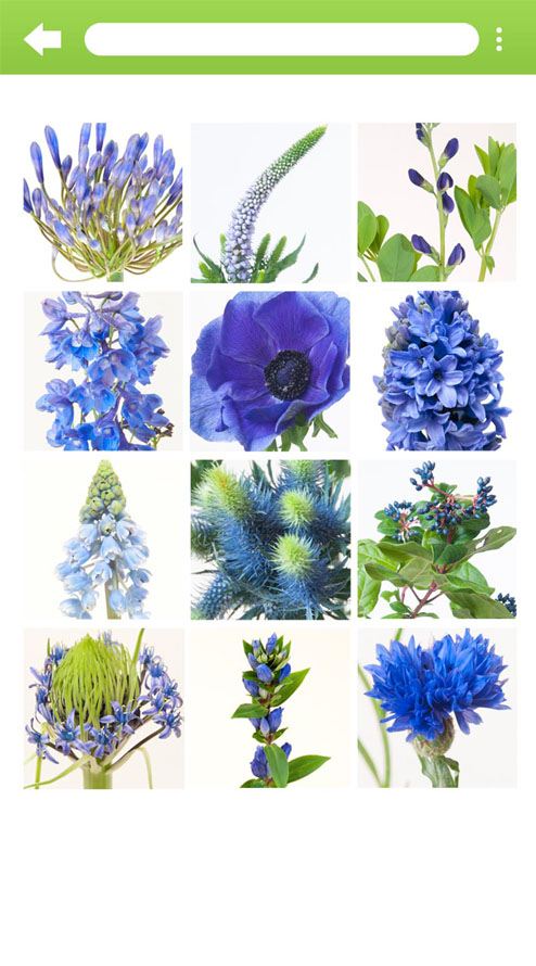 Device Content Image