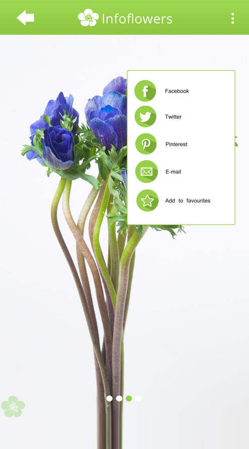 Device Content Image